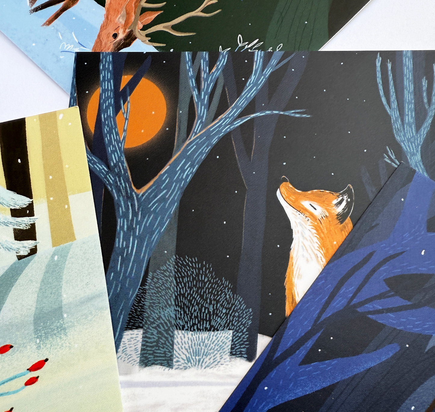 petrahilber - Kartenset "Im Wald" (5 Stück)