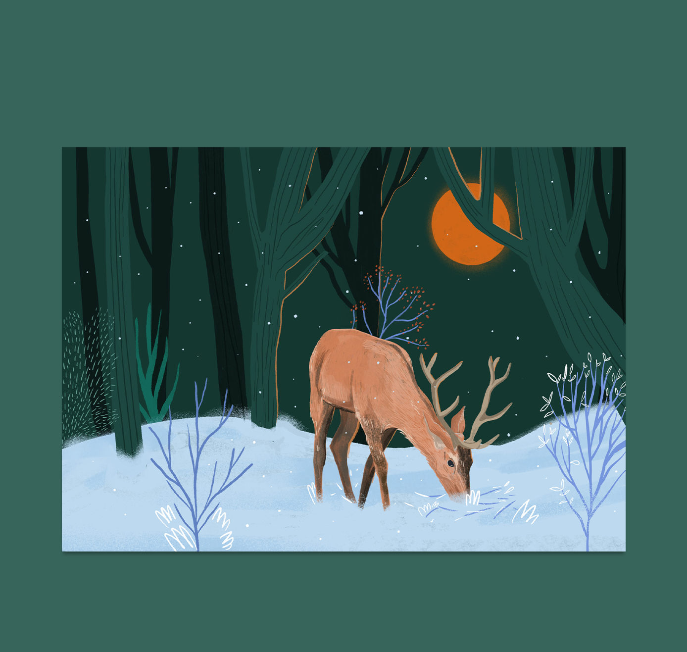 petrahilber - Postkarte "Hirsch im Wald" (5 Stück)